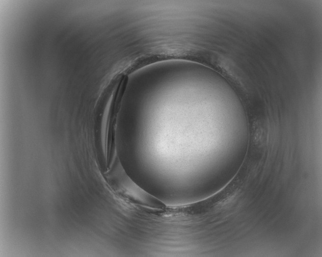 X0000062610685200512281504