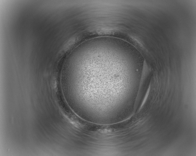 X0000062610687200512281504