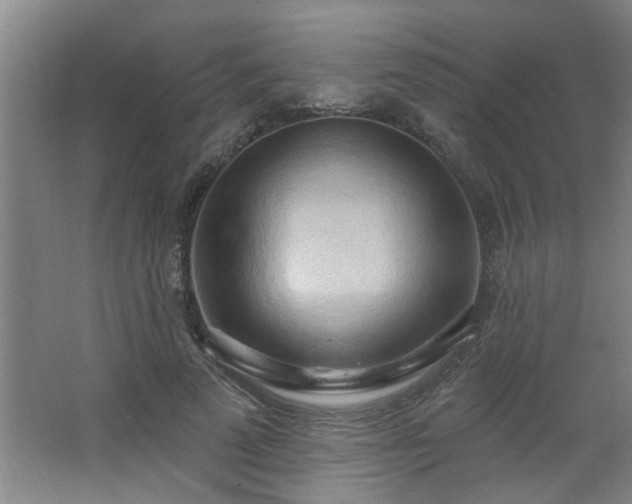 X0000062610689200512281504