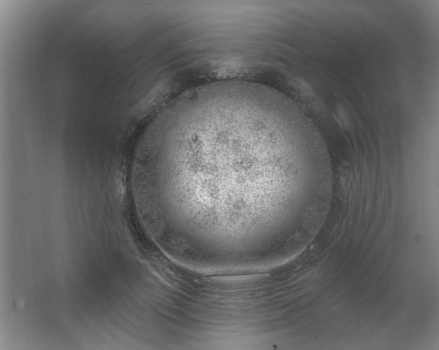 X0000062610691200512281504