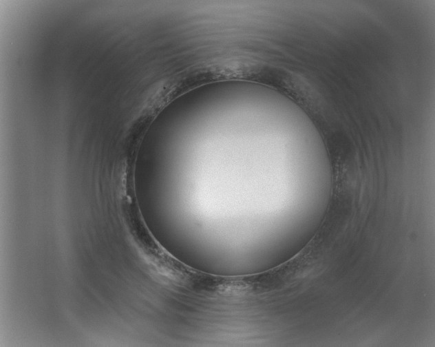 X0000062610694200512281504