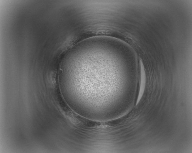 X0000062610695200512281504