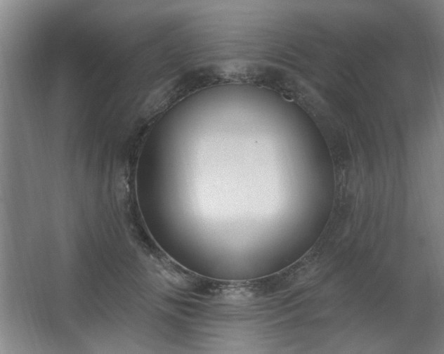 X0000062610702200512281504