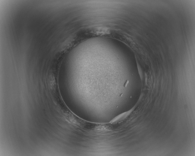 X0000062610704200512281504