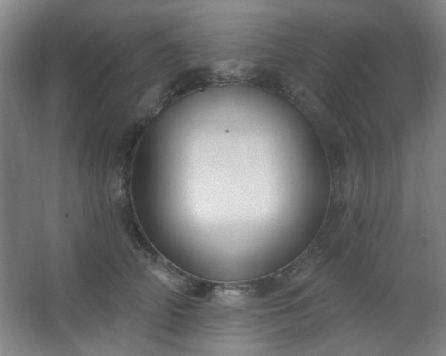 X0000062610706200512281504