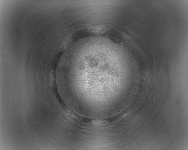 X0000062610707200512281503