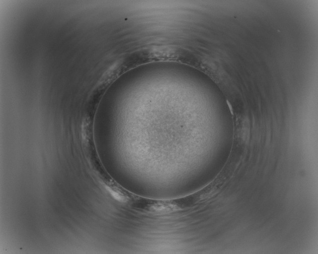 X0000062610712200512281503