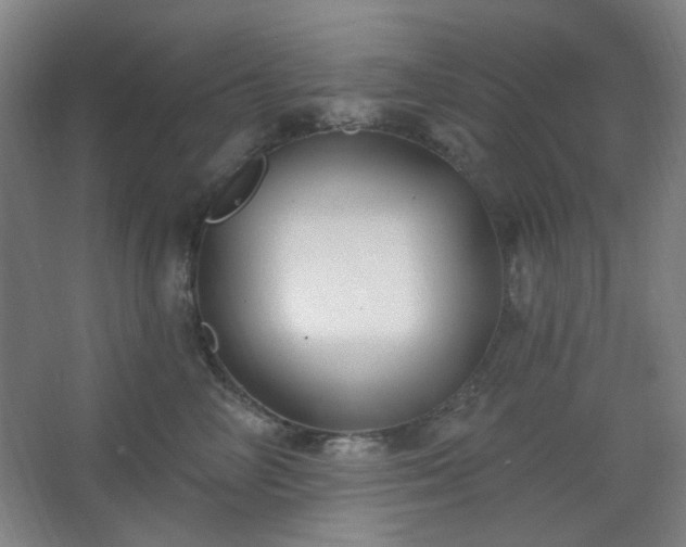 X0000062610714200512281503