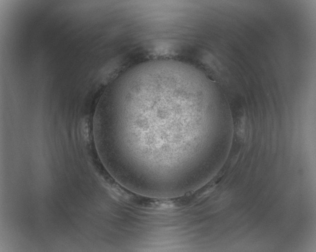 X0000062610715200512281503