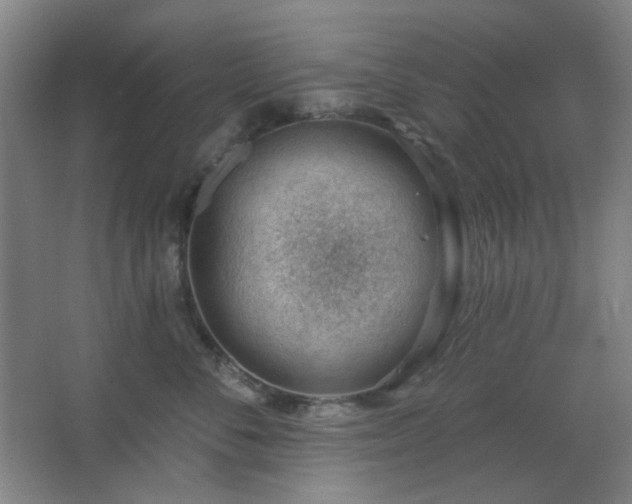 X0000062610716200512281503