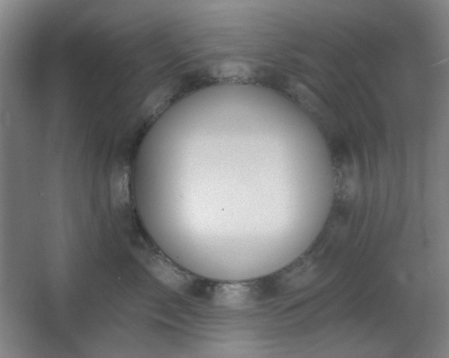 X0000062610717200512281503