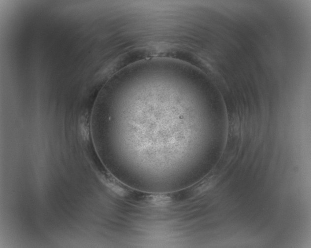 X0000062610719200512281503