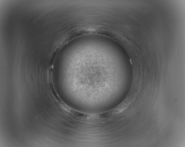 X0000062610720200512281503