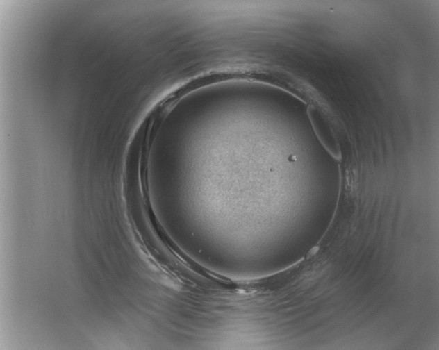 X0000062610724200512281503