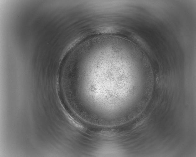 X0000062610725200512281503