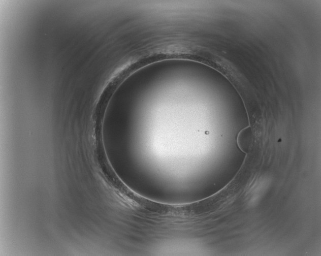 X0000062610727200512281503