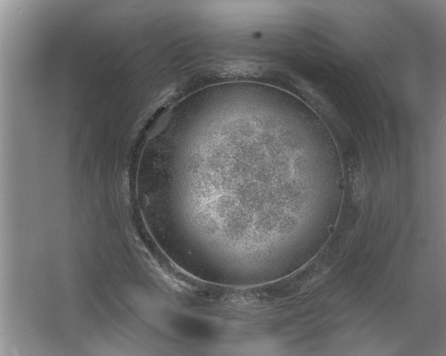 X0000062610729200512281503