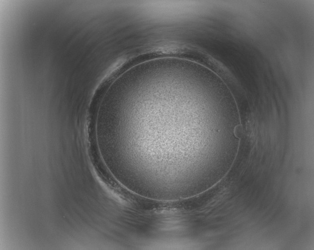 X0000062610730200512281503