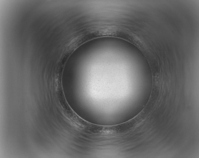 X0000062610741200512281503