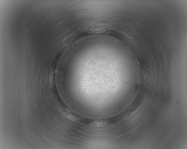 X0000062610745200512281503