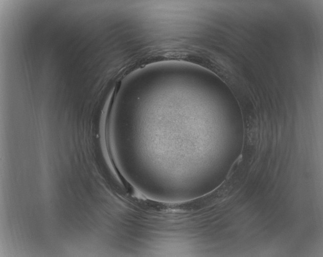 X0000062610748200512281503