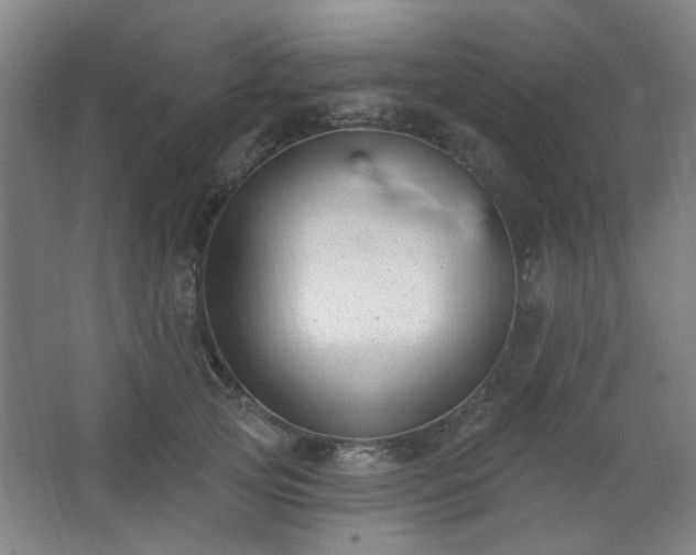 X0000062610753200512281503