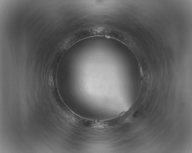 X0000062610754200512281503