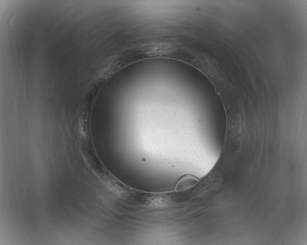 X0000062610755200512281503