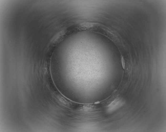 X0000062610758200512281503