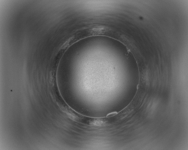 X0000062610759200512281503