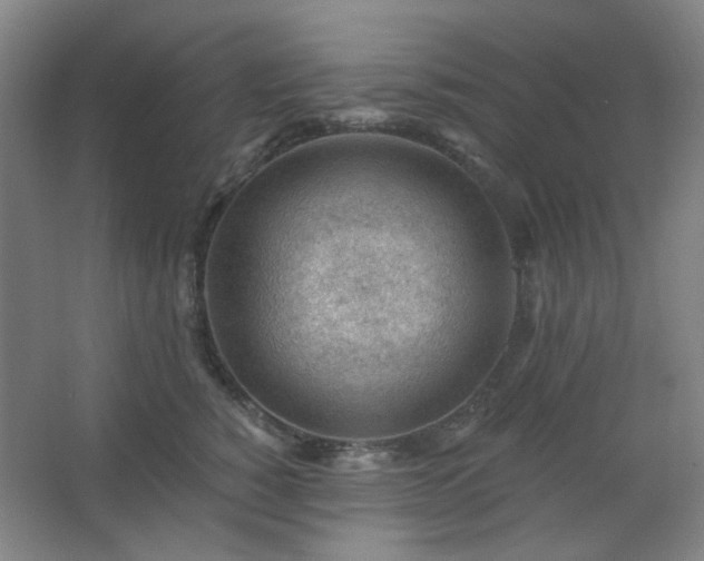 X0000062610760200512281503