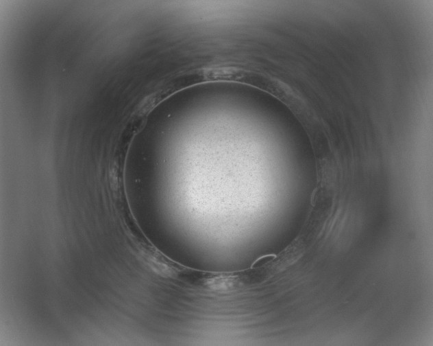 X0000062610761200512281503