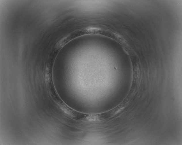 X0000062610762200512281503