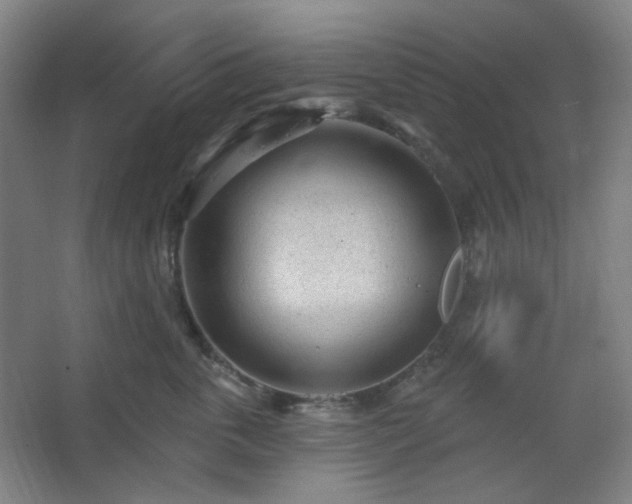 X0000062610763200512281503