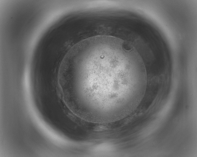 X0000062610765200512281503