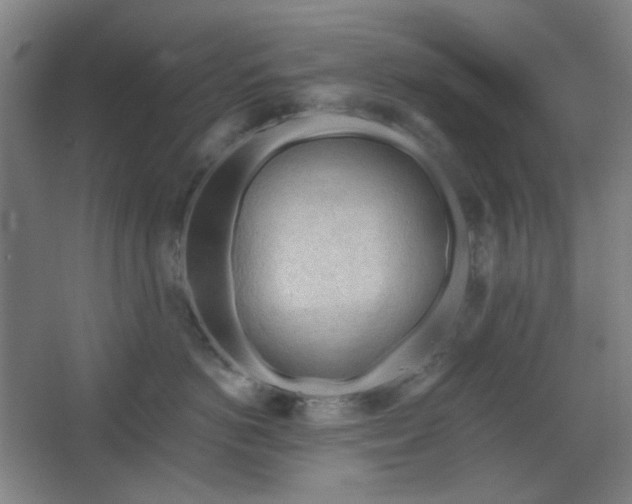 X0000062610766200512281503