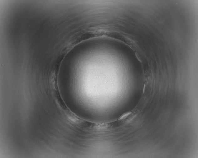 X0000062610767200512281503