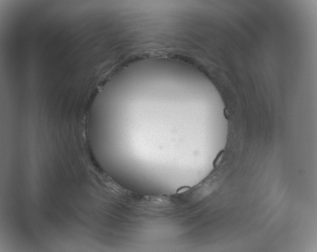 X0000062610768200512281503