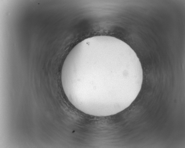 X0000062610769200512281502