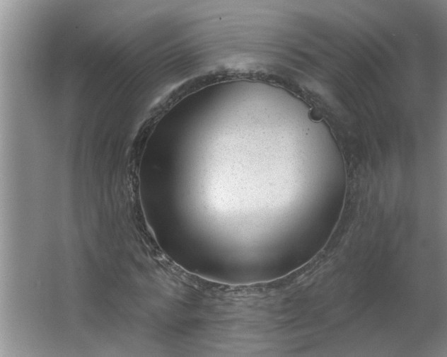 X0000062610776200512281502