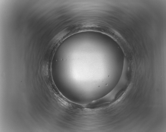 X0000062610777200512281502