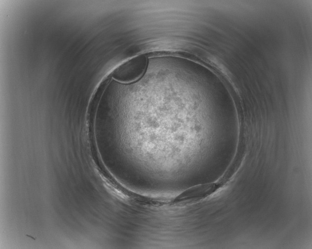 X0000062610779200512281502