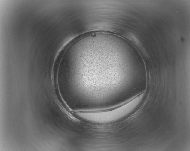 X0000062610780200512281502