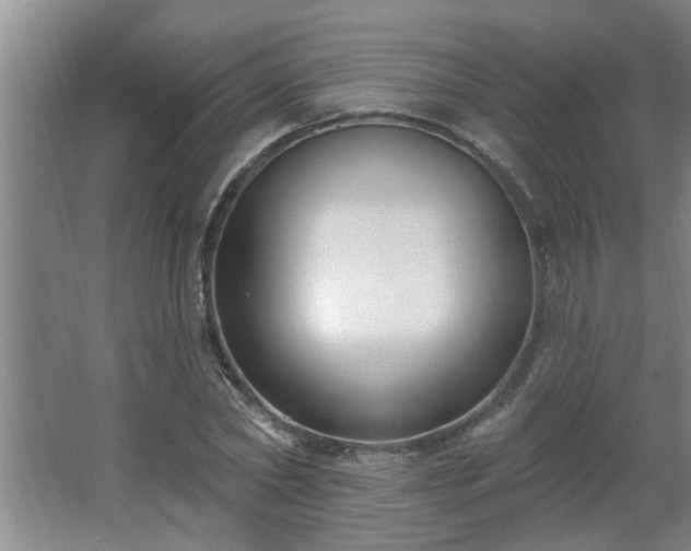 X0000062610782200512281502