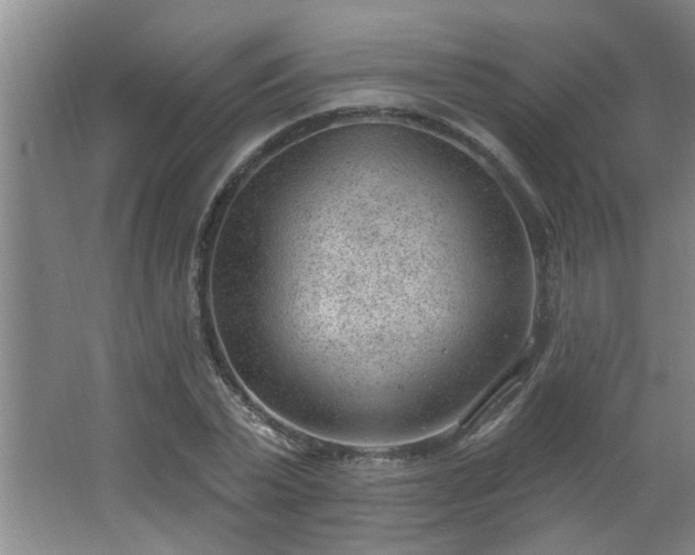 X0000062610783200512281502