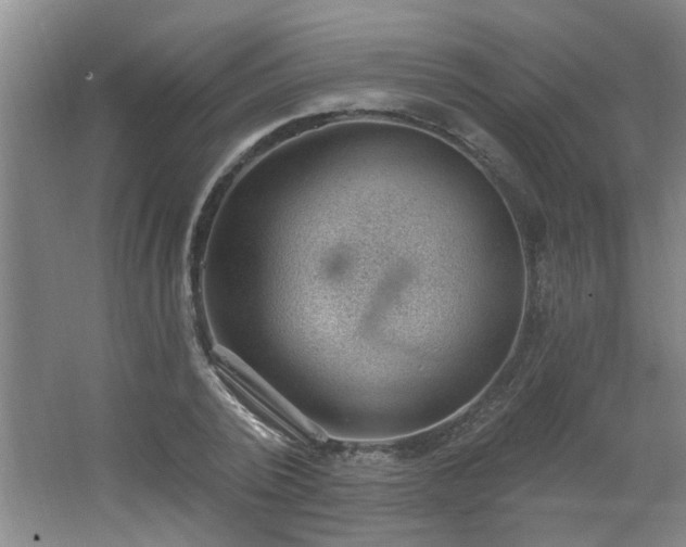 X0000062610784200512281502