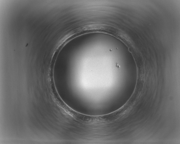 X0000062610786200512281502