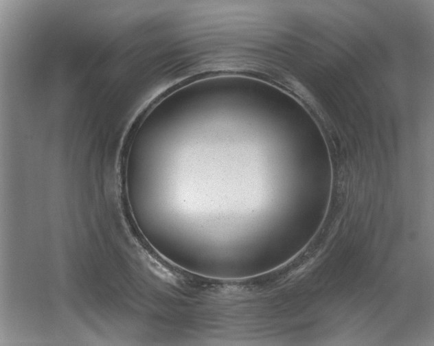 X0000062610787200512281502