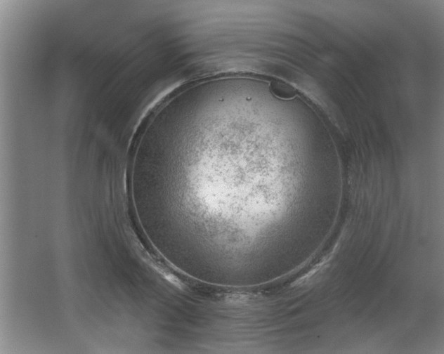 X0000062610790200512281502