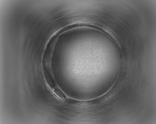 X0000062610791200512281502